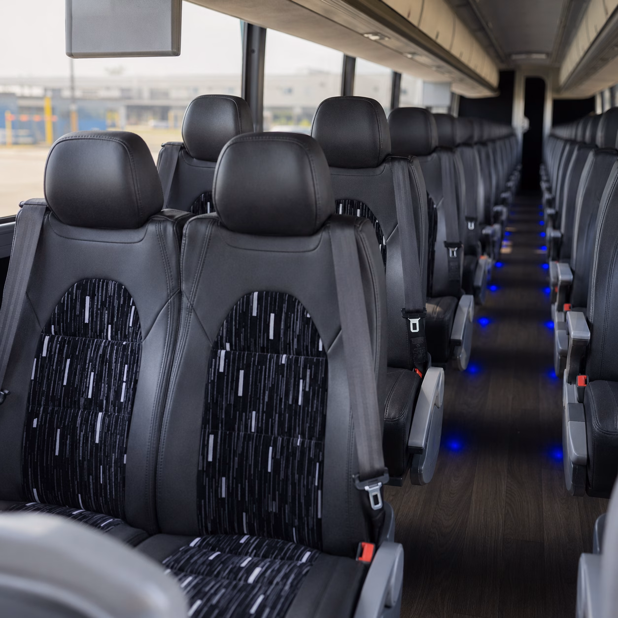 compare buses in minutes not days